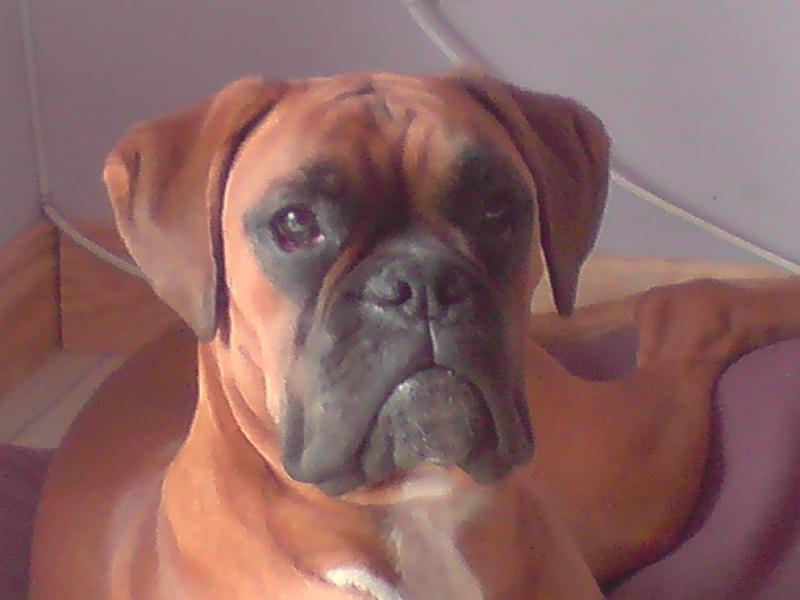 Deimos